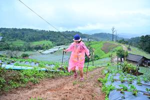 BIB: 1310
                            <button type="button" onclick="openModal(13378521)" class="btn btn-primary btn-sm float-right btn-popup" data-toggle="modal" data-target=".modal-high-quality">
                        <i class="fas fa-shopping-cart"></i> Add to Cart
                    </button>
                                            <button type="button" onclick="isThisMe(13378521, true)" class="btn btn-success btn-sm float-right btn-popup btn-isme hidden" data-toggle="tooltip" data-placement="bottom" title="นี่คือรูปของคุณใช่ไหม คลิกที่นี่เพื่อเอาเข้าอัลบั้ม">
                        <i class="fas fa-plus"></i> Add to album
                    </button>
                    <button type="button" onclick="isThisMe(13378521, false)" class="btn btn-warning btn-sm float-right btn-popup btn-isnotme hidden">
                        <i class="fas fa-ban"></i> Remove from album
                    </button>